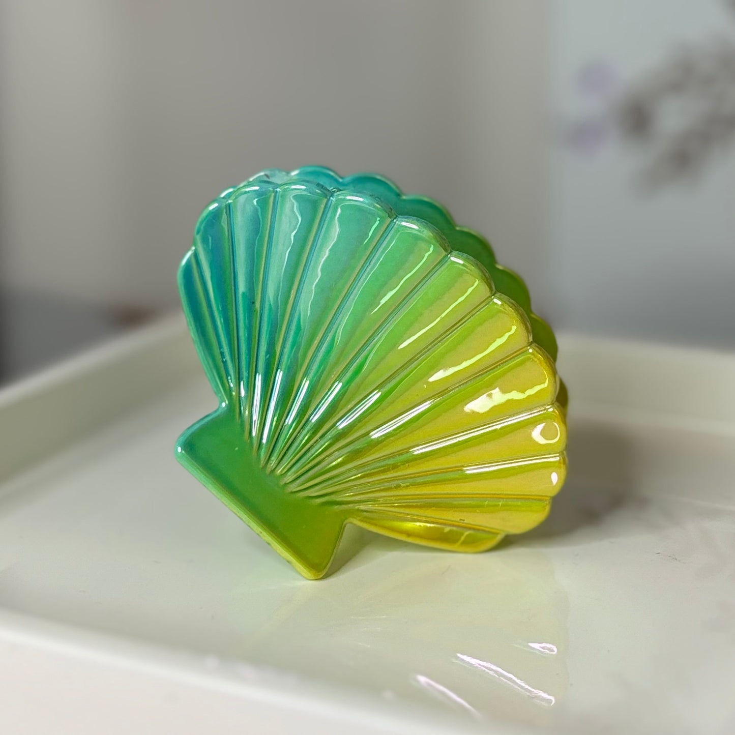 Shell Hair Clip