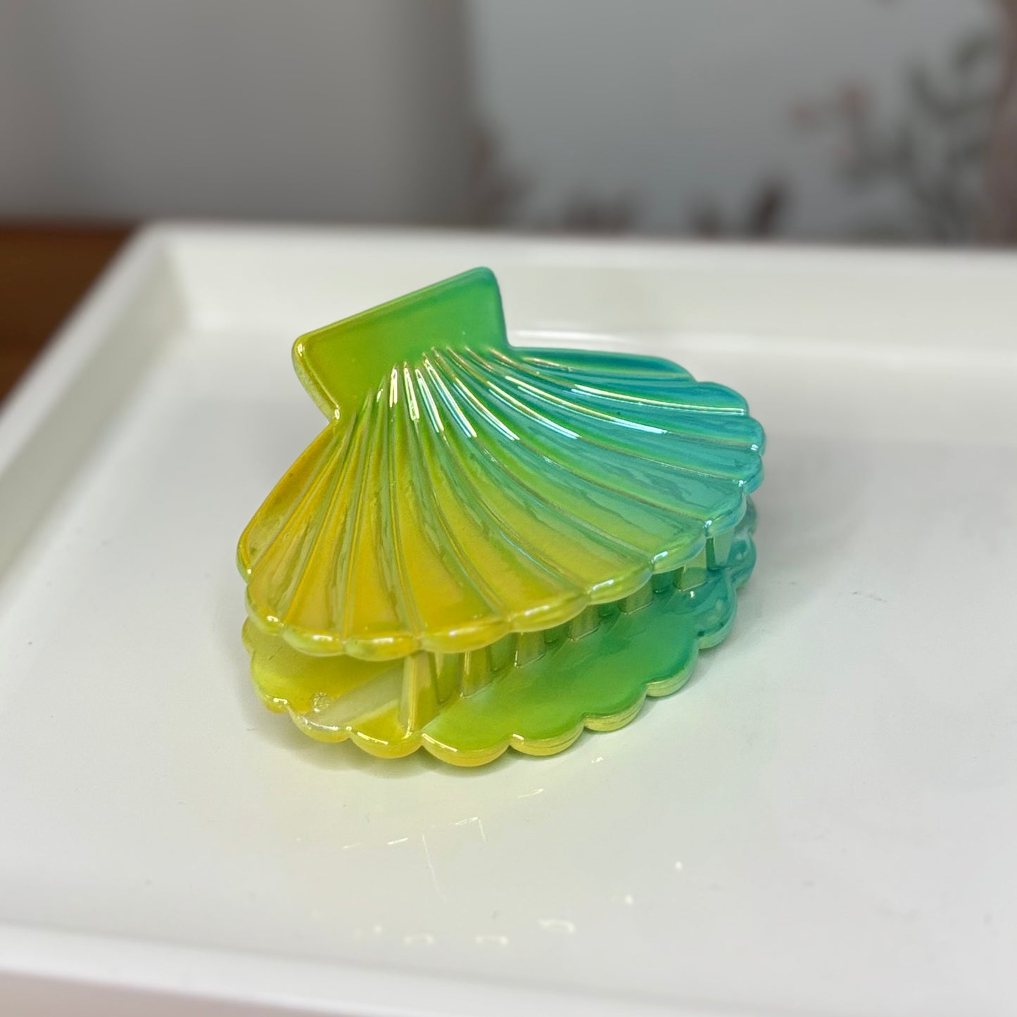Shell Hair Clip