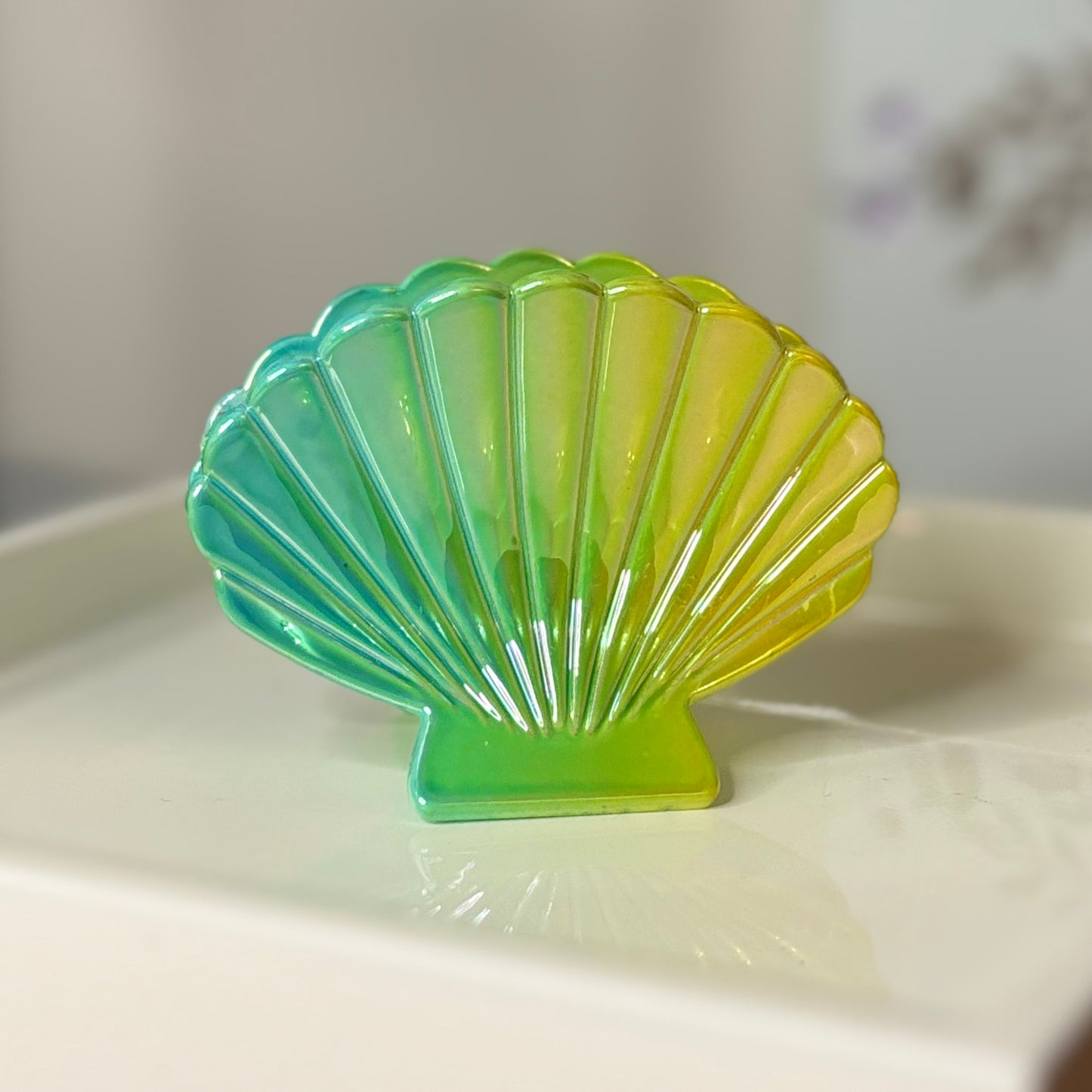 Shell Hair Clip